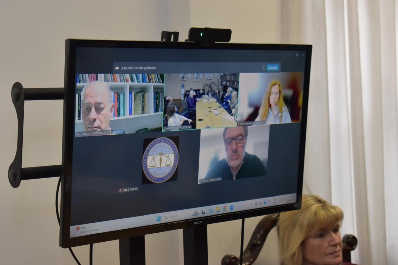 Participantes conectados en forma virtual a la reunión