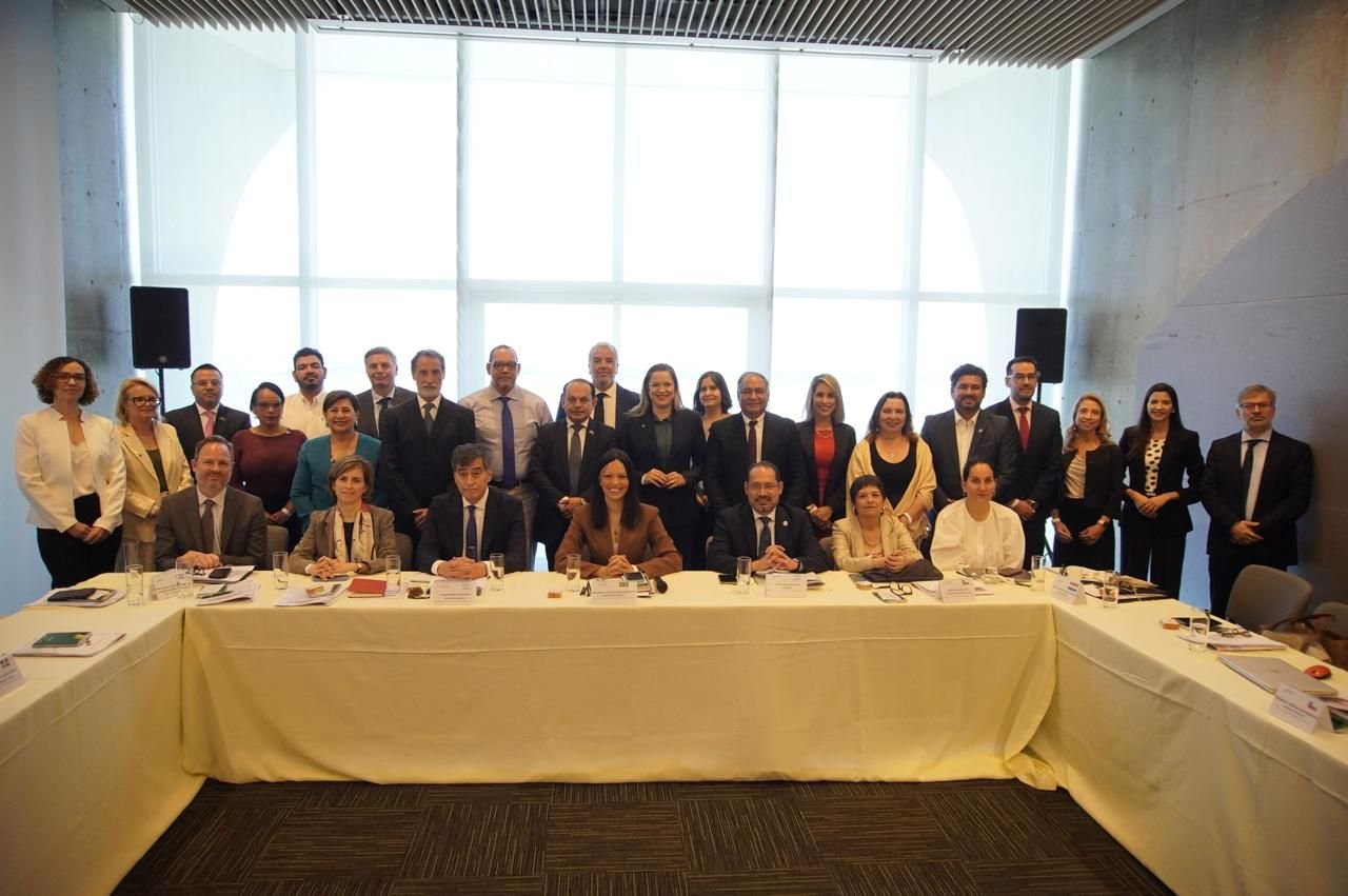 Delegaciones participantes del XI Congreso de la AIDEF
